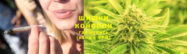 дживик Каменногорск