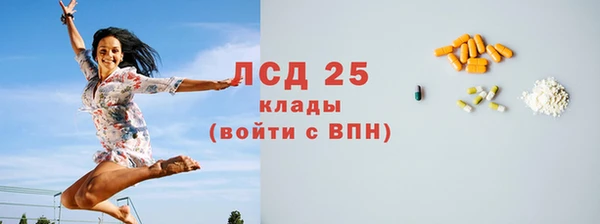дживик Каменногорск