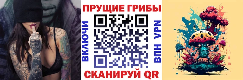 Купить где  Боровск  Псилоцибиновые грибы MAGIC MUSHROOMS 